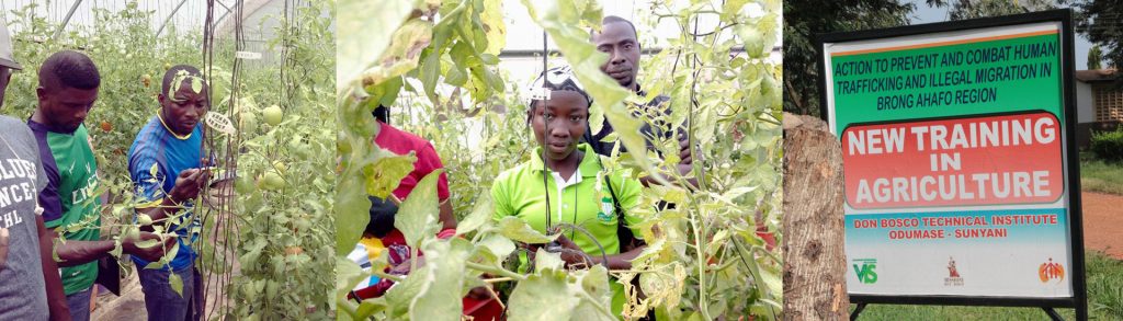 Agricultura para combatir a las mafias de migración ilegal en Ghana