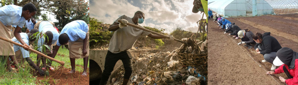 Día Mundial del Medio Ambiente: por un mundo sostenible y reconectado