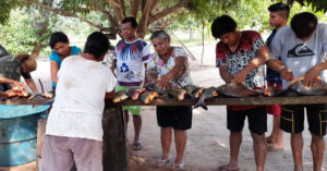 Un proyecto de piscicultura proporciona desarrollo a una de las misiones salesianas indígenas con los bororo en Brasil