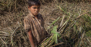 La educación, al rescate del trabajo infantil, una lacra que afecta a 160 millones de menores en el mundo