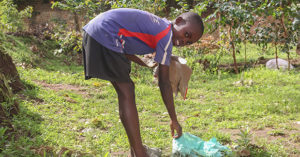 El centro juvenil Don Bosco Kabgayi (Ruanda) despierta la responsabilidad por el medio ambiente
