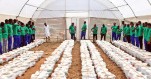 Proyecto de formación profesional para formar a los jóvenes en agricultura ecológica y sostenible en Gatenga (Ruanda)