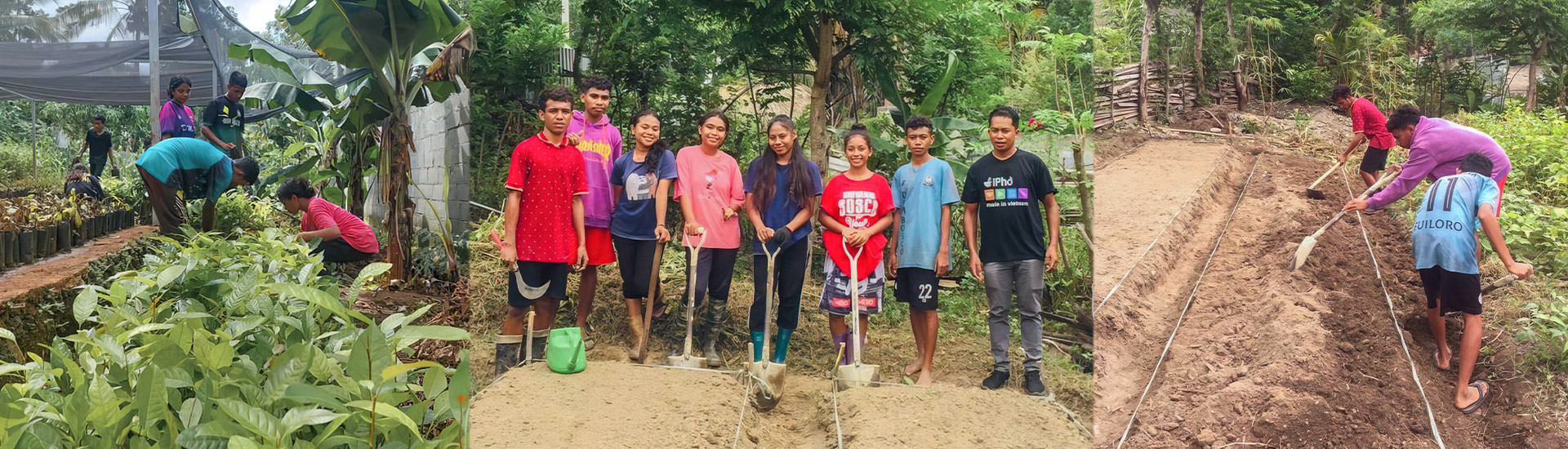 Programa formativo para el trabajo del alumnado de la Escuela Agrícola Don Bosco de Timor oriental