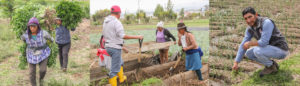 Kleber Sánchez, el ingeniero agrónomo identificado con las familias de la Granja Don Bosco Ambato (Ecuador)