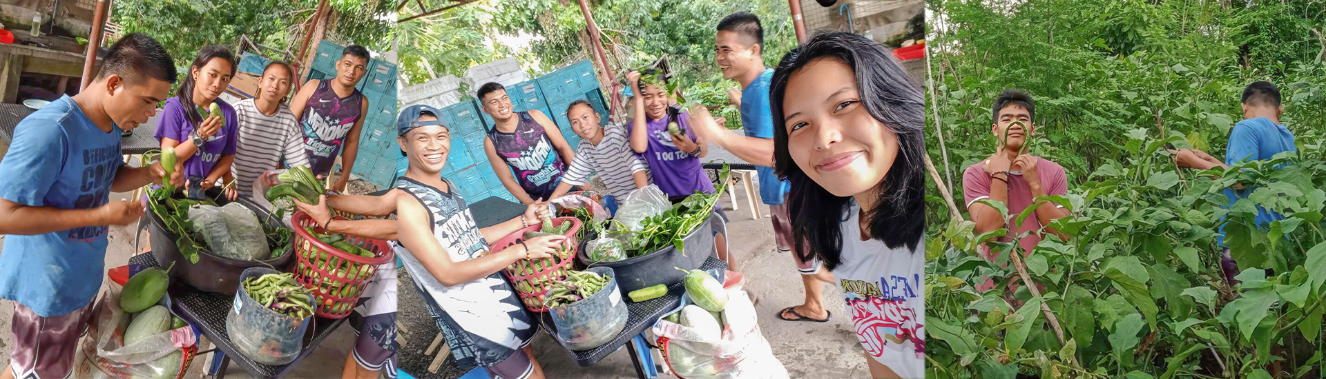 Alimentos para más de 60 alumnos en el centro de FP de Balamban (Filipinas) gracias al huerto Laudato Si’