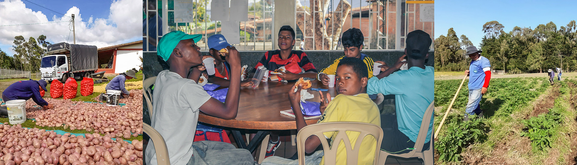 Seguridad alimentaria para menores y jóvenes en Colombia