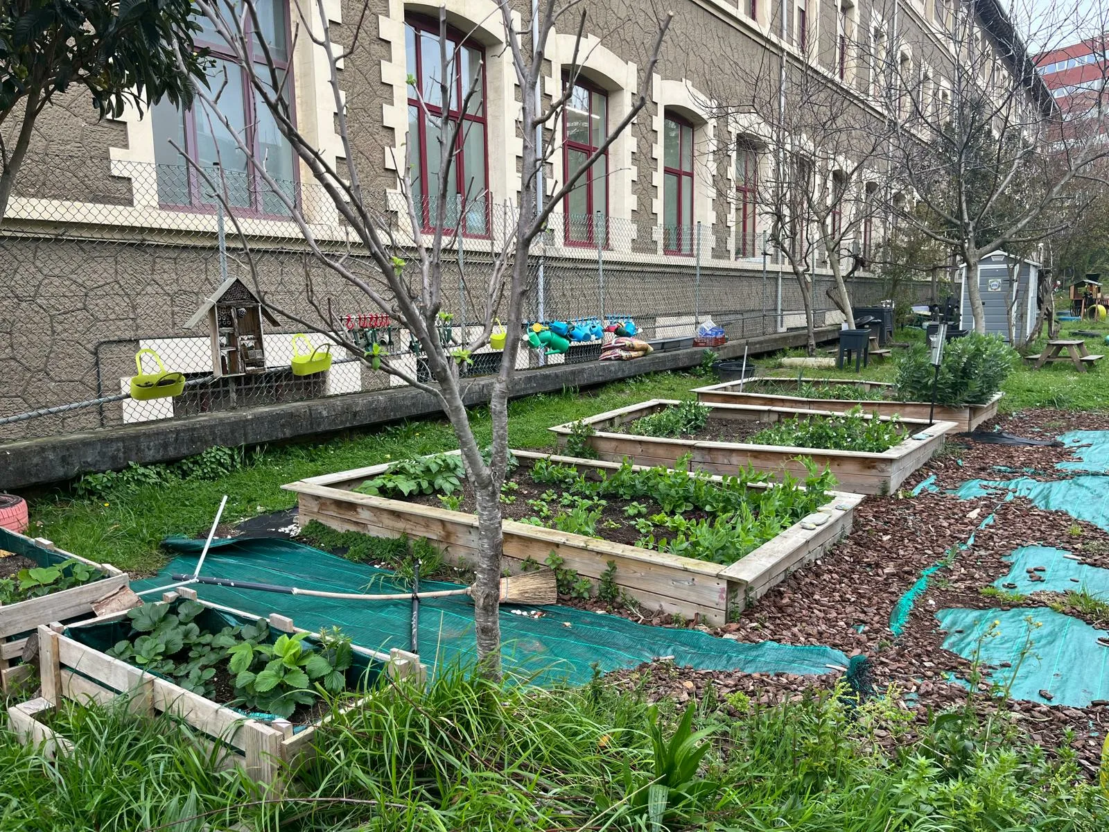 aulas_en_accion_galeria-2025-04-04